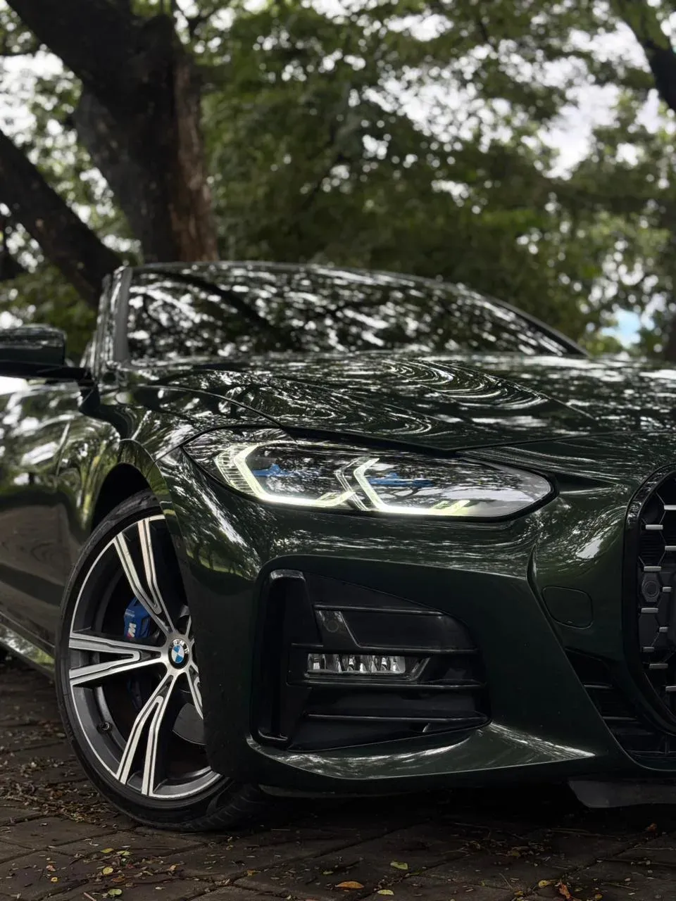 BMW 6
