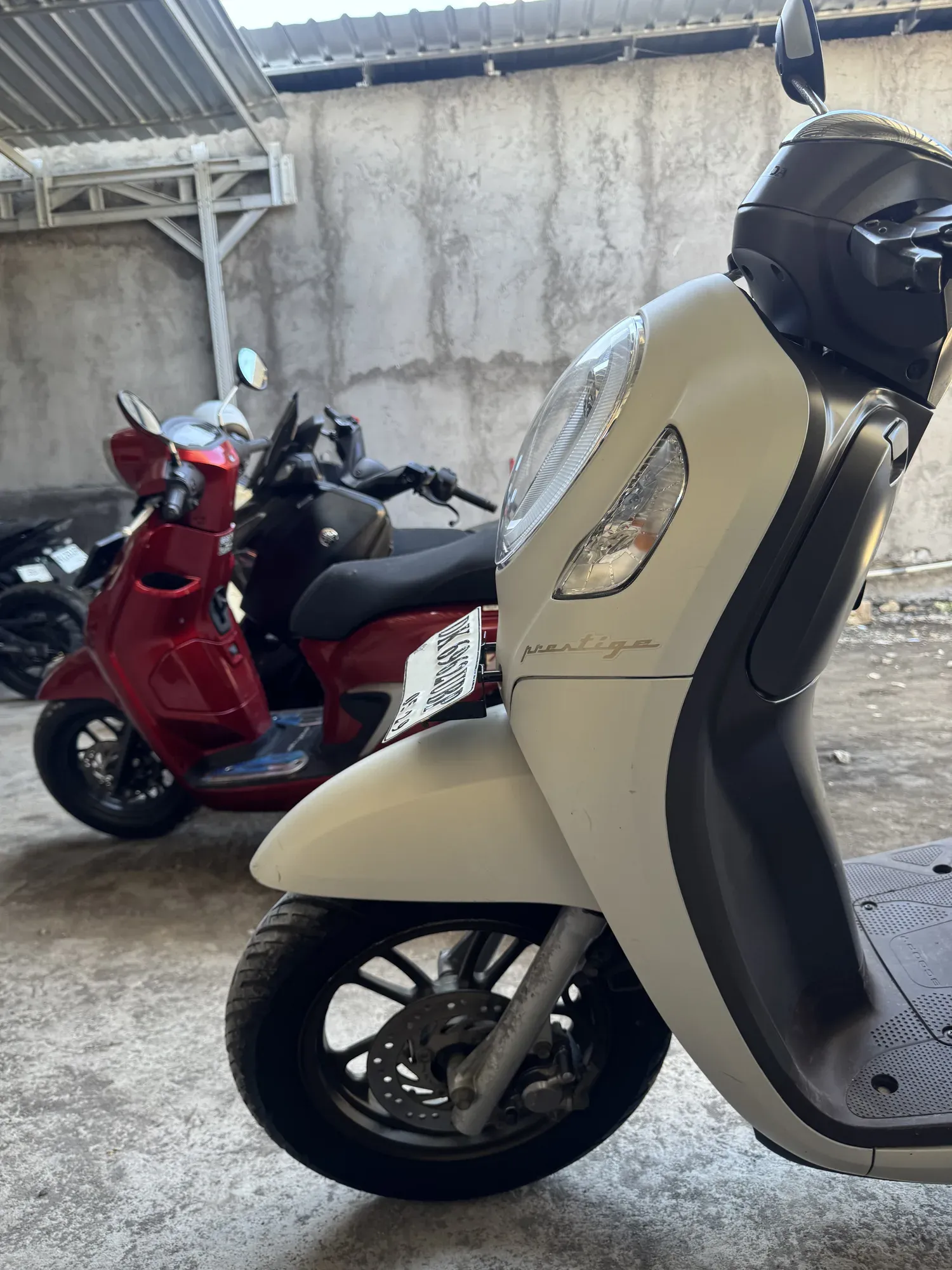 Honda Scoopy 3