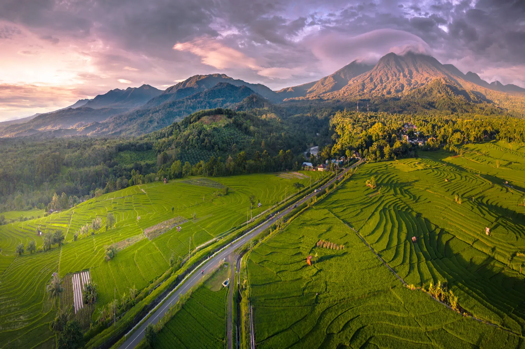 Ubud & Kintamani Tour 1