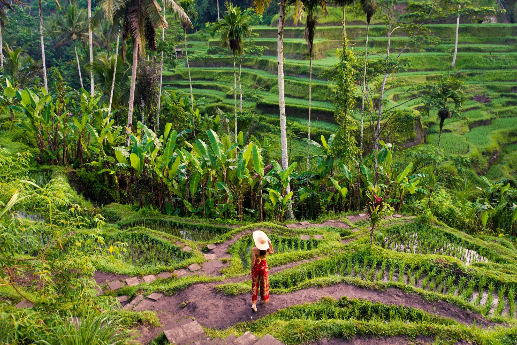 Ubud & Kintamani Tour 2